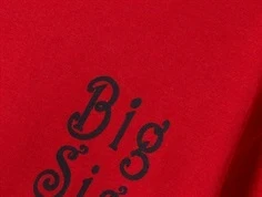 Name It t-shirt salsa med storesøster print